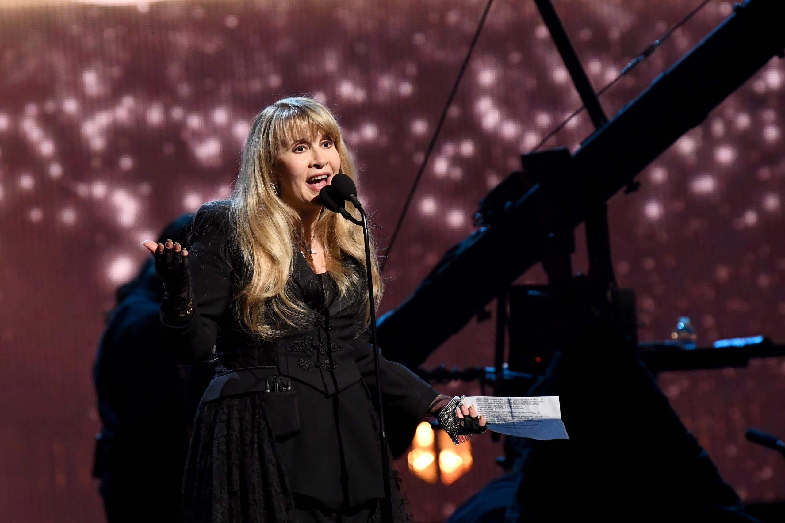 Stevie Nicks Says Fleetwood Mac Would Have Never Been Able To Continue ...