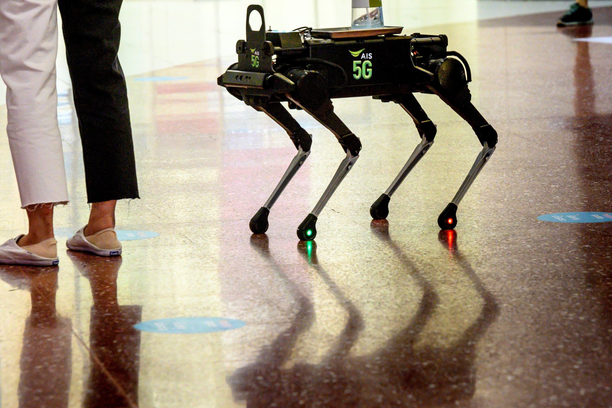 dhs robot dogs