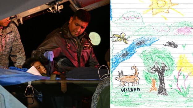 Wilson, Heroic Dog Who Rescued Children Lost in Amazon for 40 Days ...