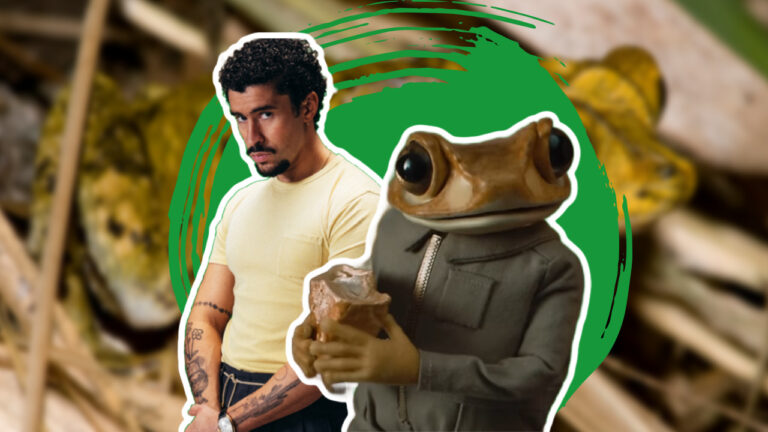Meet Bad bunny Frog, The Endangered Toad in his Album