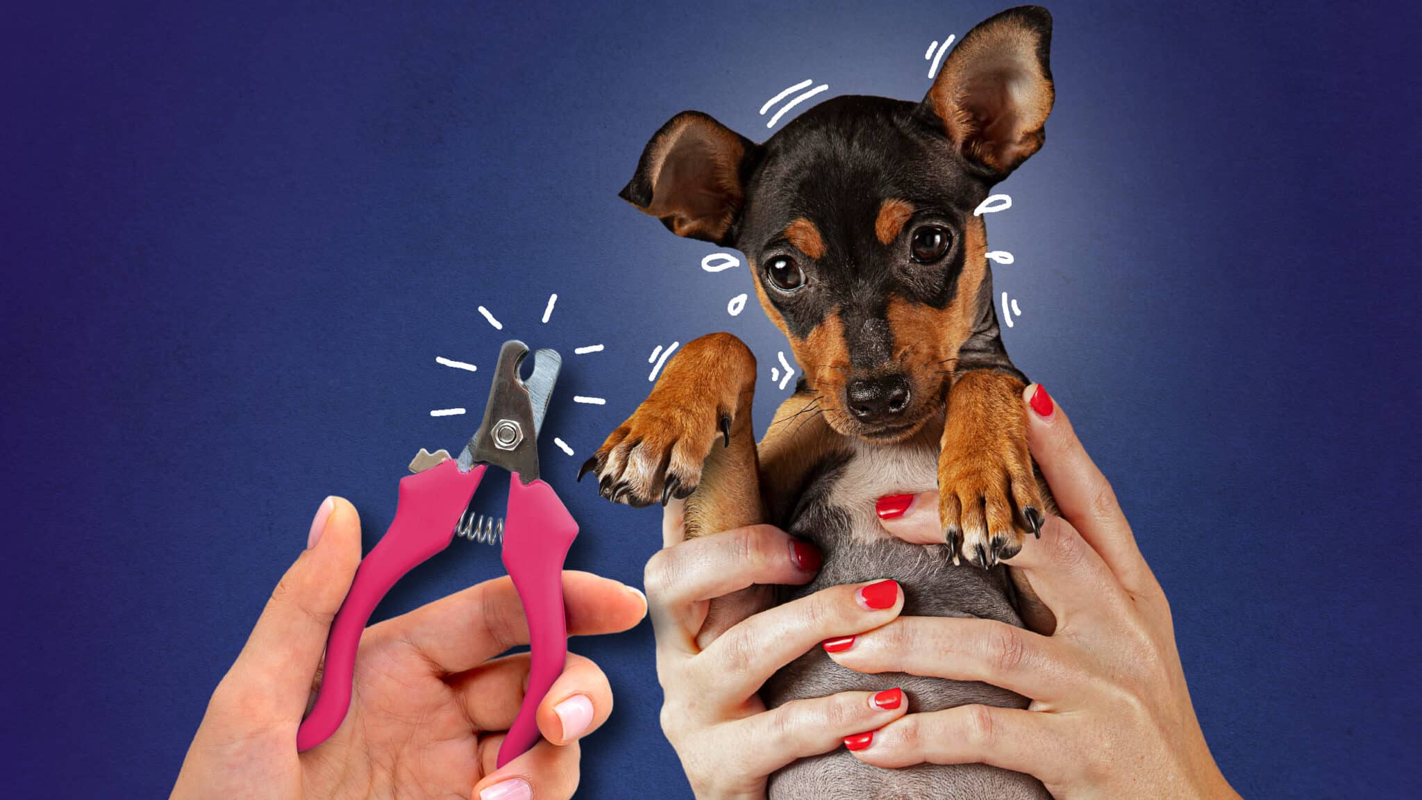 Truco Uñas Perro