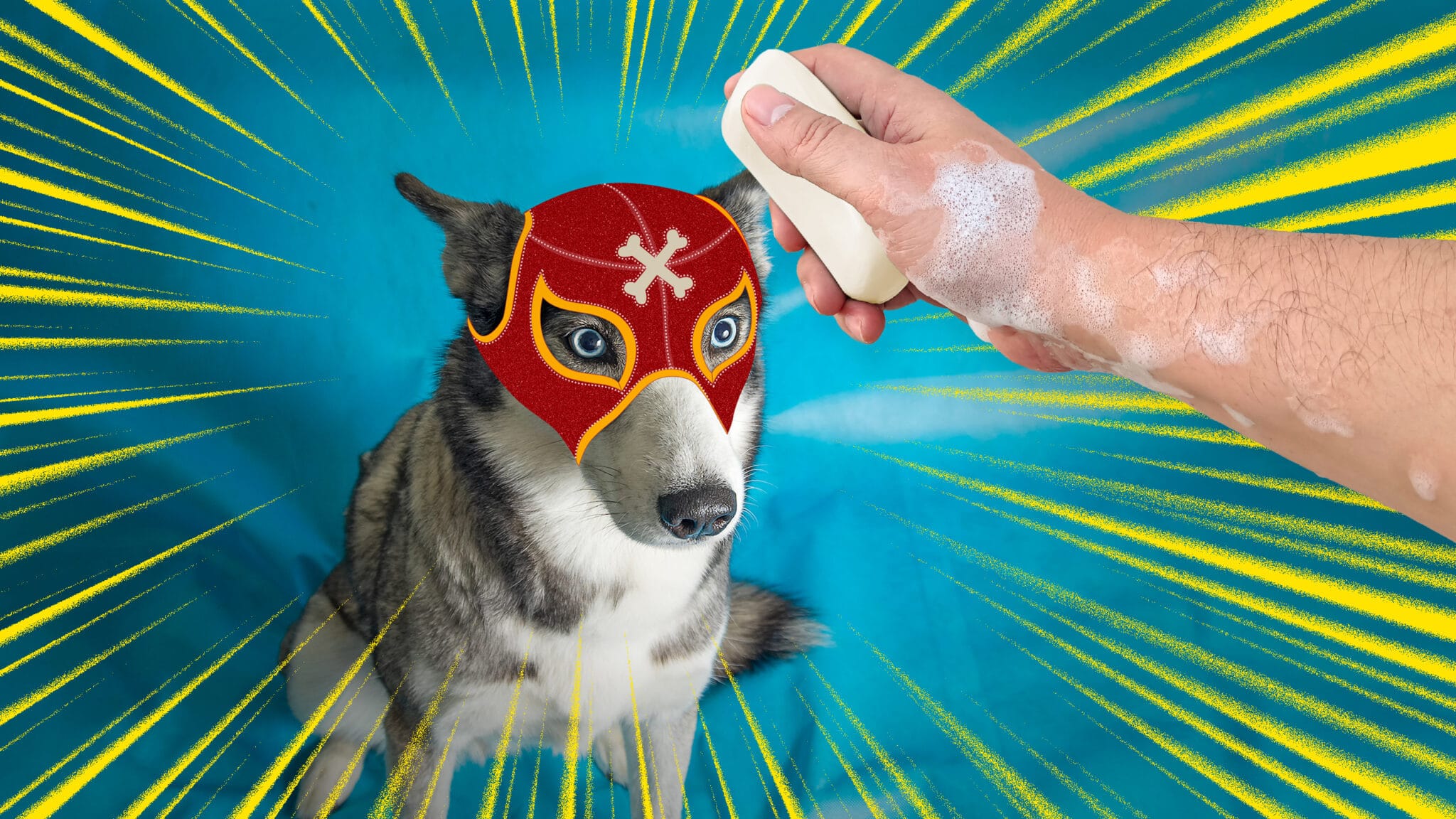 7 trucos para que el baño de tu firulais no parezca una pelea de lucha libre