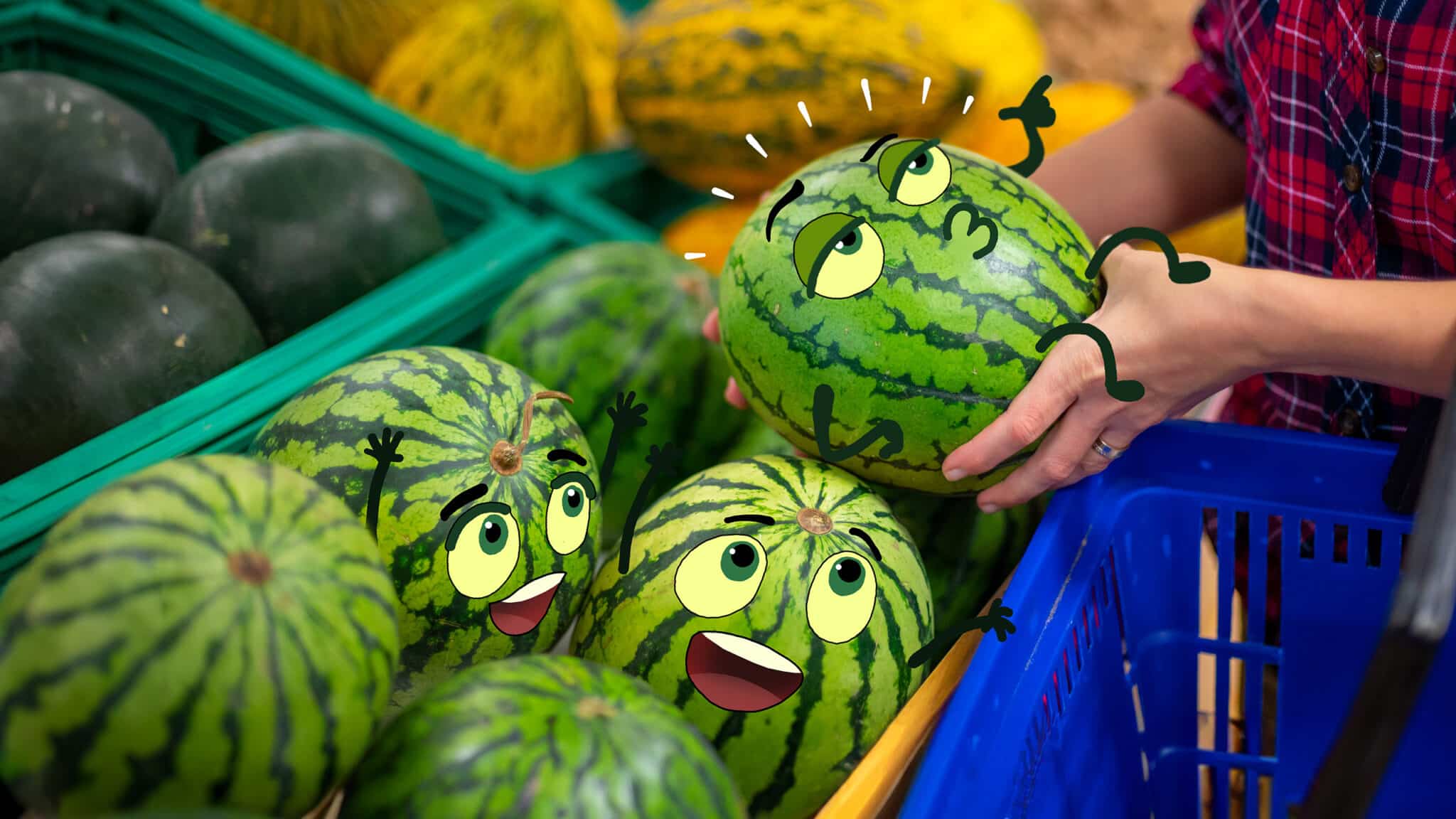 Señora Hacks: Cómo elegir las mejores frutas a simple vista