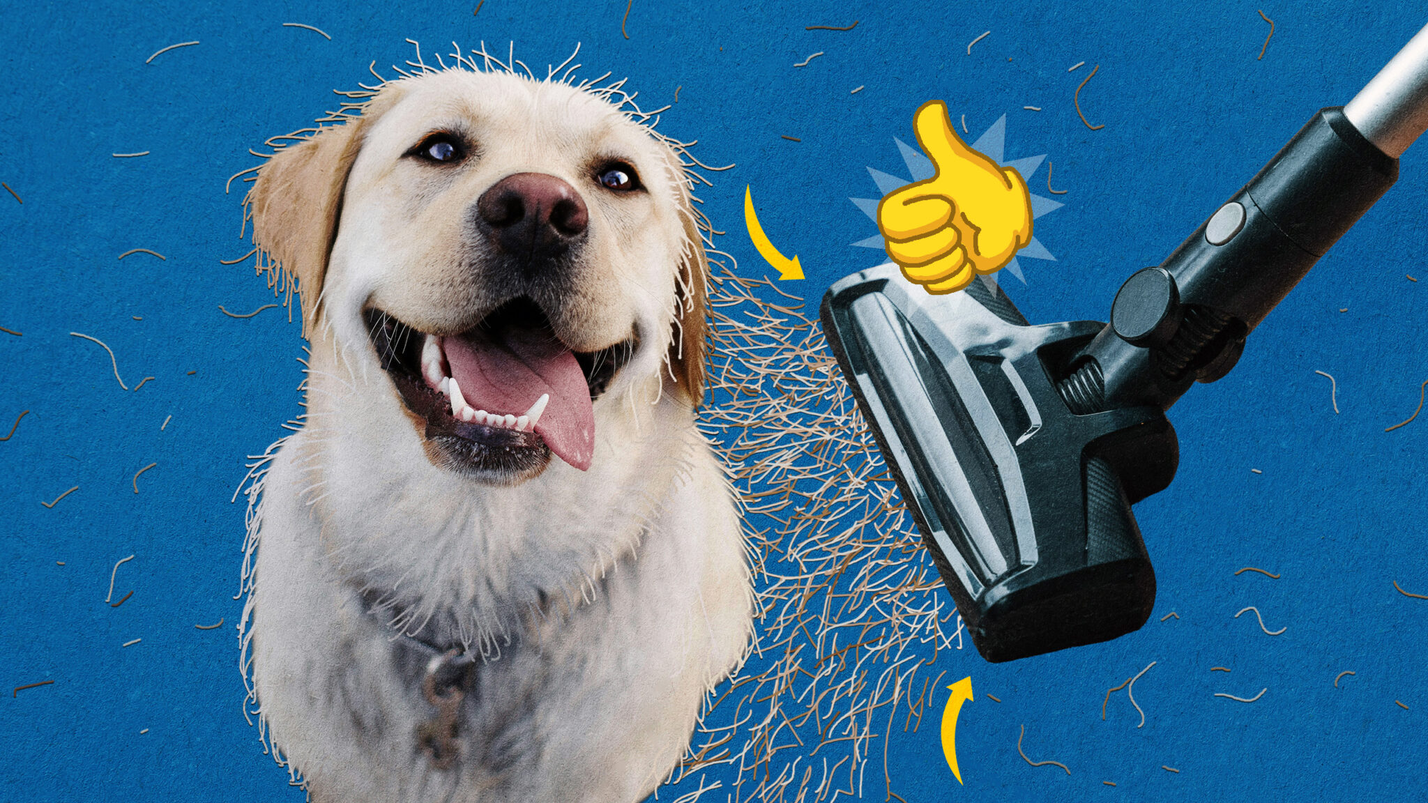 Señora Hacks: Las 5 aspiradoras que acaban con de los pelos de tu mascota en segundos