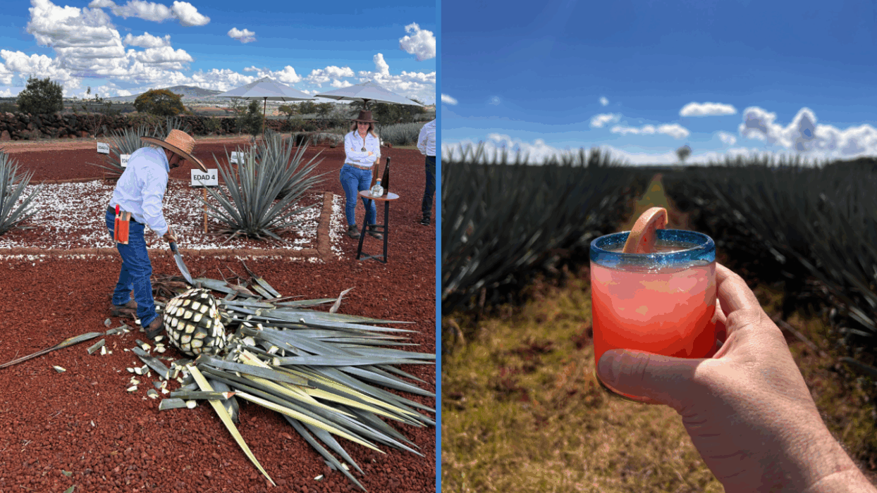 Jimadores Represent More Than A Profession, They Are A Cultural Symbol of Mexico's Rich Land and Heritage