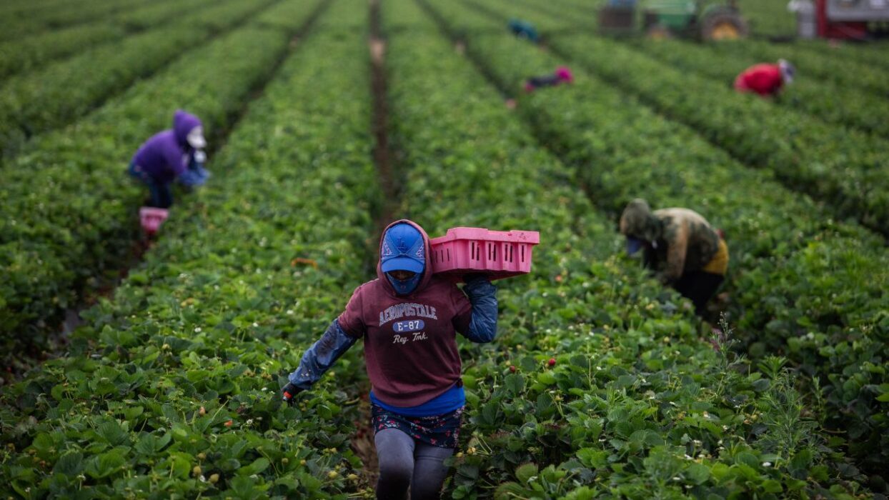 It’s the First-Ever Farmworkers Day, And It Hits Different This Year