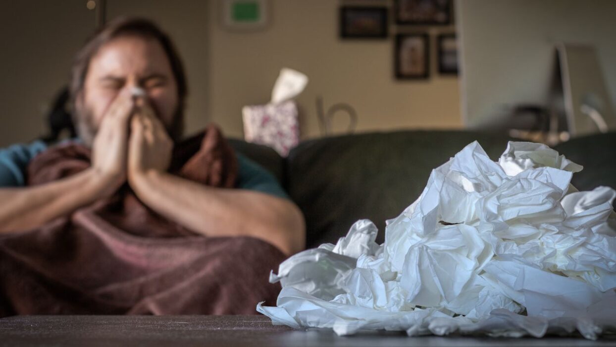 Abuela’s Remedies Against Los Mocos (Spring Edition)