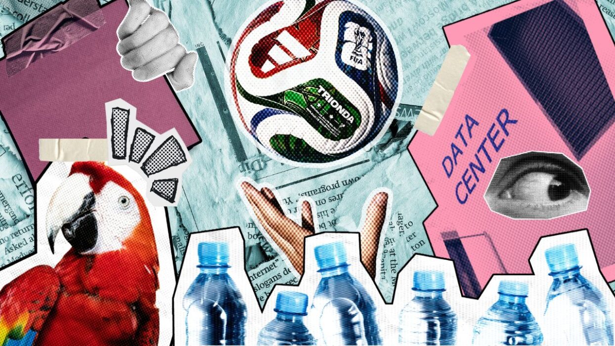 Good News This Week: California City Banned Datacenters for Good, a Teenager Filtered Out Microplastics, and FIFA Reversed Its Water Bottle Ban