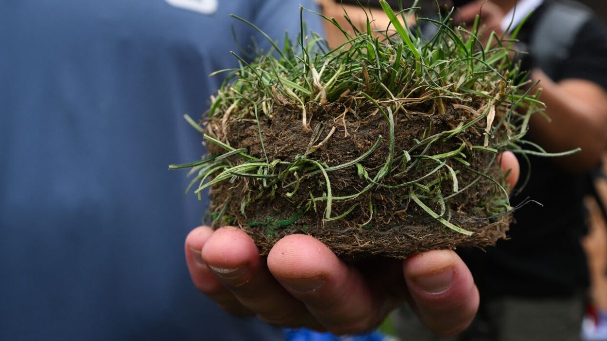 You Can Buy a Piece of the World Cup Final Pitch for $450. New Jersey Would Like a Word