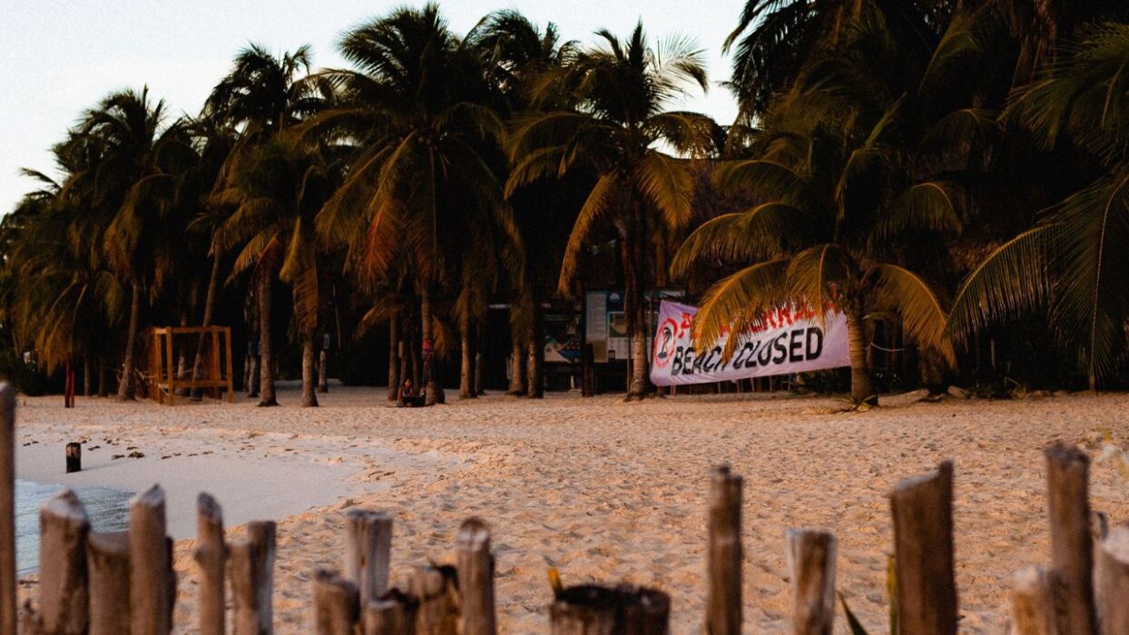 Americans Turned Tulum Into a Gold Rush. Now They’re Leaving, and Locals Are Left to Pick Up the Pieces