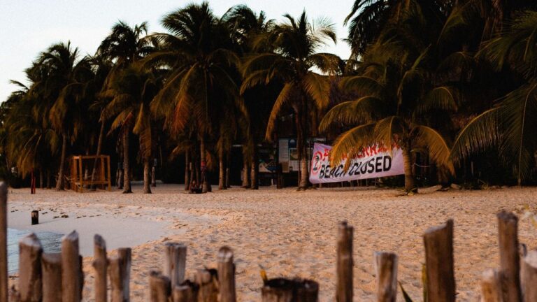 Americans Turned Tulum Into a Gold Rush. Now They’re Leaving, and Locals Are Left to Pick Up the Pieces