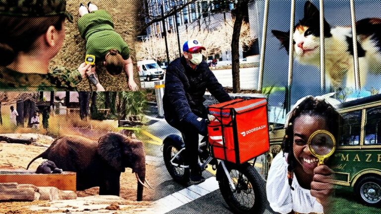 Good News This Week: DoorDash Pays Up, a Book Trolley in Baltimore, and a Baby Elephant Rescue