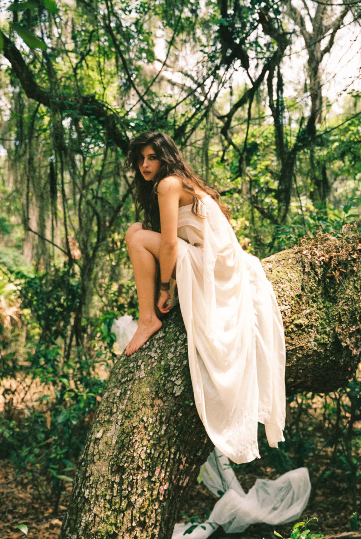 Artful promotional image of Andrea Bejar sitting on the base of a crooked tree in the forest, wearing a long white dress.